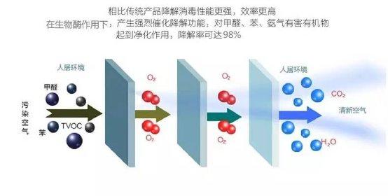 光觸媒、生物酶、空氣凈化器，哪家除甲醛公司效果好？