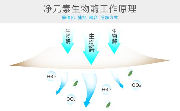 光觸媒、生物酶、空氣凈化器，哪家除甲醛公司效果好？