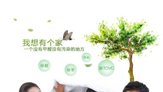 效果好、專業(yè)的光觸媒除甲醛產(chǎn)品有那些？